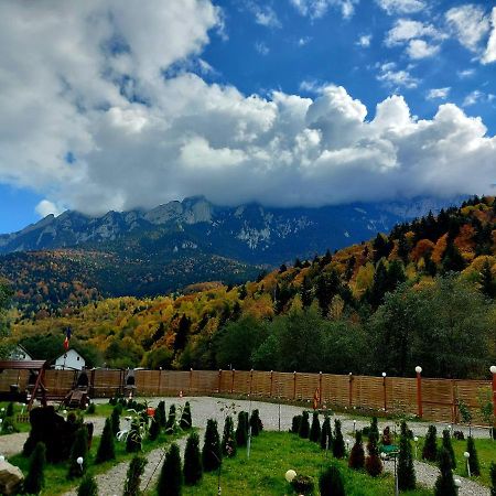Villa Aroa Mountain Zărneşti Exterior foto