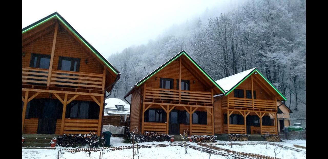 Villa Aroa Mountain Zărneşti Exterior foto